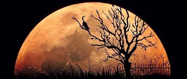 力的分解到底是不是很任性？