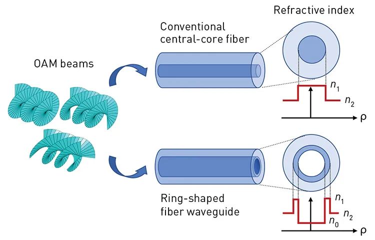 Wilner-img5-750px.jpg 图片