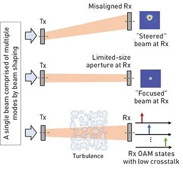 Wilner-img8.jpg 图片
