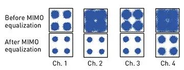 Wilner-img7.jpg 图片