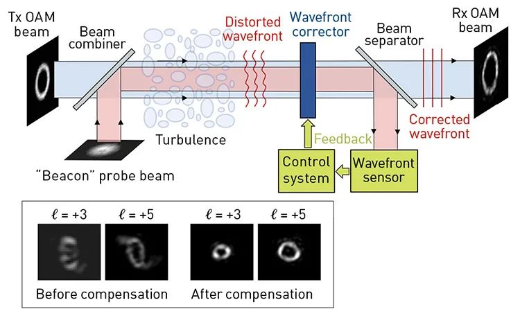 Wilner-img6-750px.jpg 图片